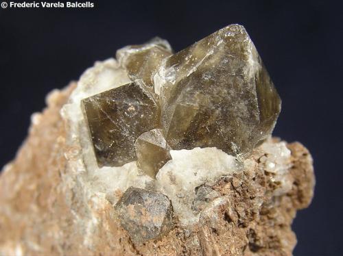 Cuarzo<br />Afloramientos del Keuper, Guardiola de Berguedà, Comarca Berguedà, Barcelona, Cataluña / Catalunya, España<br />Cristal mayor 1 x 1,2 cm.<br /> (Autor: Frederic Varela)