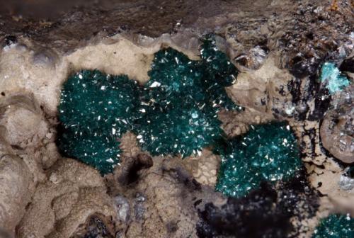 Pseudomalachite & Goethite
El Novillero Mine. Cheles. Badajoz. Extremadura. Spain
FOV 5,27mm
4,18x. Focus rail MacroRail. Canon EOS 600D. Ikea lights 
Photo: Oscar Fernández Arcís, Mineral: Manuel de Torres (Author: ofarcis)