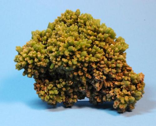 Pyromorphite
Daoping Mine, Gongcheng City, Gongcheng County, Guilin Prefecture, Guangxi Zhuang, Autonomous Region, China
11 x 9 cm
Previously posted specimen, better picture (Author: Don Lum)