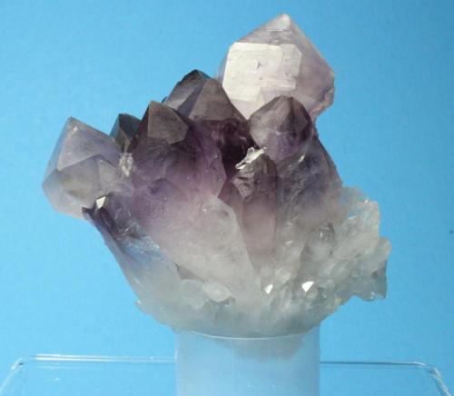 Quartz variety amethyst
Reel Mine, Iron Station, Lincoln County, North Carolina, USA
7 x 6.8 cm
Quartz variety amethyst (with scepters) (Author: Don Lum)