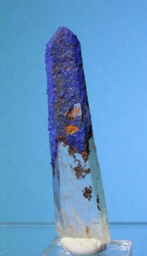 Quartz, Azurite, limonite
M’Cissi, Er Rachidia, Morocco
4.9 x 1.2 cm (Author: Don Lum)