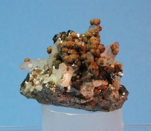 Pyrite, Siderite, Quartz
Park City District, Wasatch Mountains, Summit County, Utah, USA
3.8 x 3.5 cm
ex A. E. Seaman Museum (Author: Don Lum)
