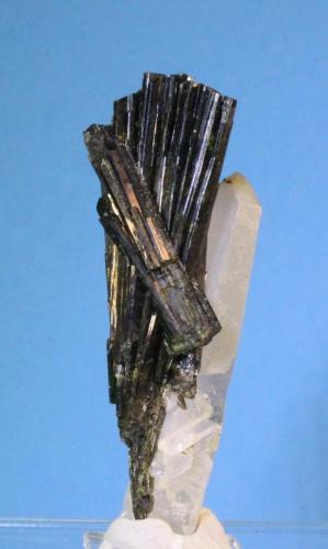 Epidote, Quartz
Pampa Blanca Mine, Castrovirreina Province, Huancavelica, Peru
6.2 x 4.4 cm (Author: Don Lum)