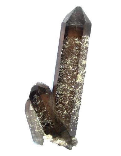 Smoky quartz, bertrandite
Kara-Oba W deposit, Betpakdala Desert, Karagandy Province, Kazakhstan
Specimen height 13 cm (Author: Tobi)