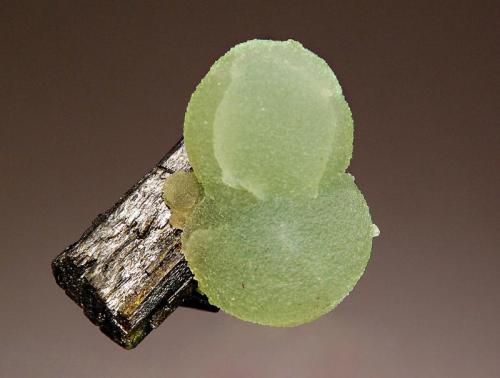 Prehnite
Djouga diggings, Bendougou Village, Bafoulabe Circle, Kayes Region, Mali
3.9 x 4.2 cm
Two intergrown spheres of lime green prehnite on a doubly-terminated crystal of blackish-green epidote. (Author: crosstimber)