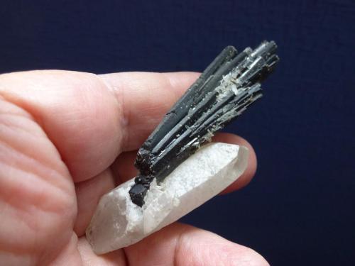 Hübnerita y Cuarzo
Pasto Bueno, Pallasca, Ancash, Perú
8 x 2,5 cm. (Autor: javier ruiz martin)