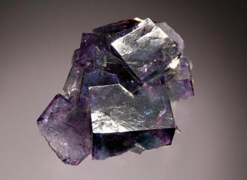 Fluorite
Okarusu Mine, Otjiwarongo District, Namibia
4.0 x 5.7 cm
Cubic fluorite crystals with green cores and purple overtones to 2.5 cm on edge. (Author: crosstimber)