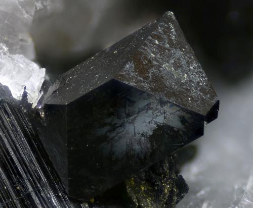 Magnetita.
Canteras de Mármol, Macael, Almería, Andalucía, España
Campo de visión 3,2 mm. (Autor: Juan Miguel)