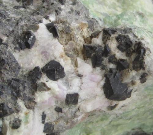 Steenstrupine-(Ce) xx 
Ilímaussaq intrusion, Narsaq, S-Greenland
section from piece on the previous photo, crystals around 0,5 x 0,5 cm (Author: kakov)