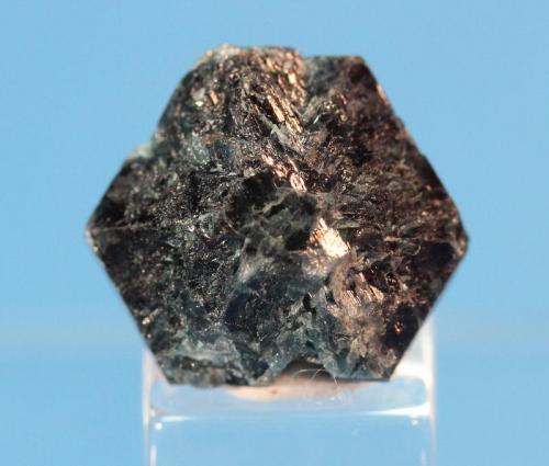 Chrysoberyl var Alexandrite
Novello Mine, Masvingo, Zimbabwe
1.6 x 1.4 cm
Chrysoberyl Trilling Crystal (Author: Don Lum)