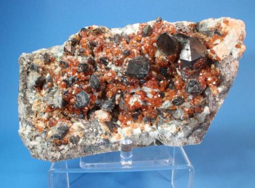 Spessartine, Quartz variety smoky, Pyrite
Tongbei, Yunxiao, Fujian Province, China
17.3 x 11 cm (Author: Don Lum)