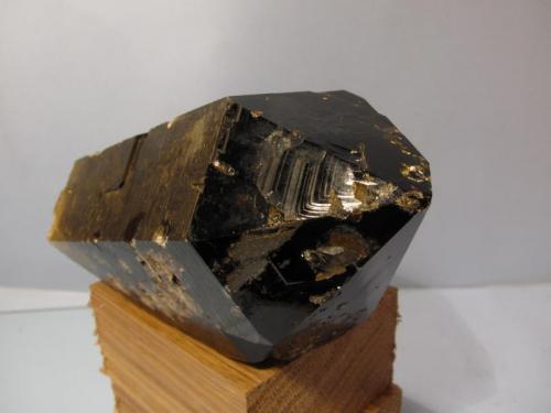 Smoky Quartz
Aiguille du Moine, Mont-Blanc massif, France
127mm x 61mm x 53mm
Same specimen as above.
I only found one this size, plus a few that are 6 - 8cm, and a few smaller interesting ’floaters’ that are odd shapes. (Author: Mike Wood)