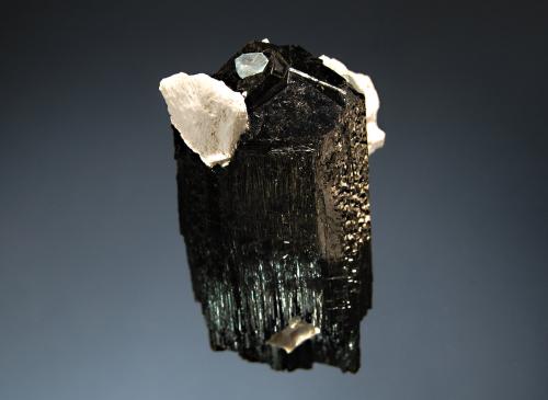 Schorl
Bersig Farm 167, Omaruru Dist., Erongo region, Namibia
3.5 x 6.0 cm
A stout black schorl crystal with small pieces of weathered feldspar and a small aquamarine attached to the top termination. The bottom termination is
partially etched leaving a raised trigonal termination. (Author: crosstimber)