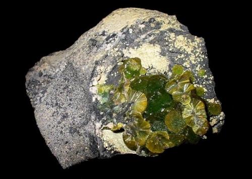 Wavellite
Lichtenberg open pit, Ronneburg, Thuringia, Germany
8 x 7 cm (Author: Andreas Gerstenberg)