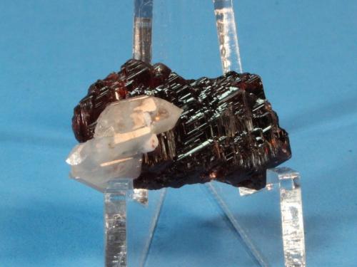 Spessartine, Quartz
Navegadora Mine, Conselheiro Pena, Minas Gerais, Brazil
3.0 x 2.0 cm (Author: Don Lum)