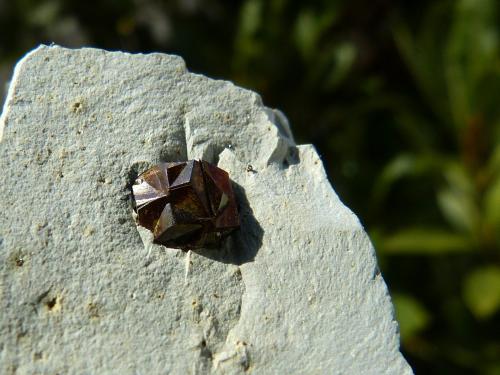 Pirita
Cantera Maibolte, Dörentrup, Lemgo, Lippe, Alemania
Cristal: 7 mm
Macla en cruz de hierro (Autor: nerofis2)