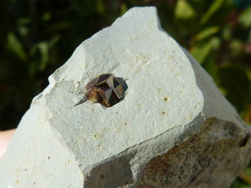 Pirita
Cantera Maibolte, Dörentrup, Lemgo, Lippe, Alemania
Cristal: 7 mm
Macla en cruz de hierro (Autor: nerofis2)