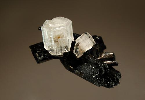 Beryl var. goshenite
Erongo Mts., Erongo Region, Namibia
3.5 x 4.0 cm
Two lustrous hexagonal goshenite crystals with pinacoid terminations nestled among several intergrown schorl crystals. (Author: crosstimber)