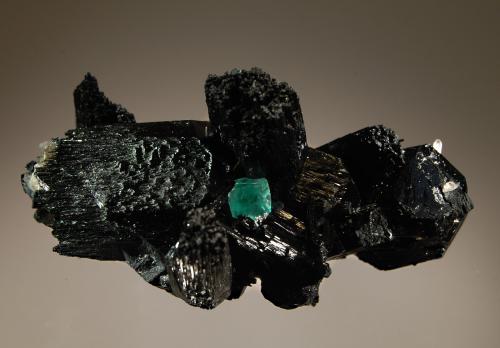 Schorl
Erongo Mts., Erongo Region, Namibia
4.6 x 8.0 cm
An intergrown group of black schorl crystals with several small quartz crystals and a 0.5 cm cubic green fluorite crystal. (Author: crosstimber)