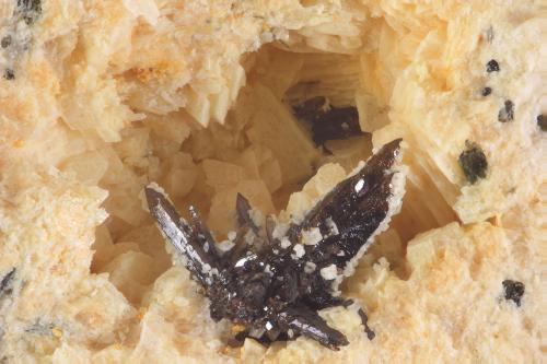 Cassiterite
Cligga Head, Perranzabuloe, St. Agnes District, Cornwall, UK.
FOV: 5.4 mm (Author: Vinoterapia)