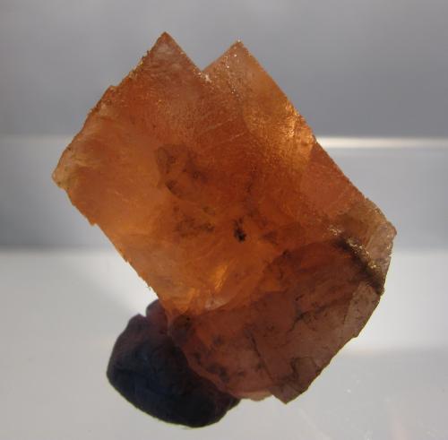 Fluorite
Aiguille du Moine, Mont-Blanc massif, France
25mm x 15mm x 15mm
Same specimen as above (Author: Mike Wood)