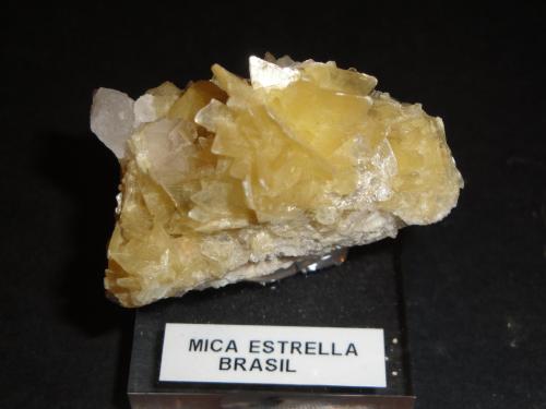 Moscovita
Minas Gerais, Brasil.
50mm - 36mm - 36mm
Mica Estrella. (Autor: Pedro Naranjo)