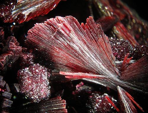 Erythrite
Bou Azzer, Tazenakht, Ouarzazate, Souss-Massa-Draâ, Morocco
fov 8 mm (Author: Rewitzer Christian)