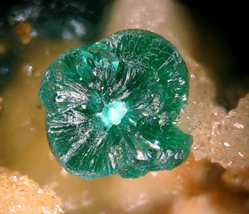 Cornwallite
María Josefa Mine, Rodalquilar, Níjar, Almería, Andalusia, Spain
fov 1.5 mm
mined in 2012 (Author: Rewitzer Christian)