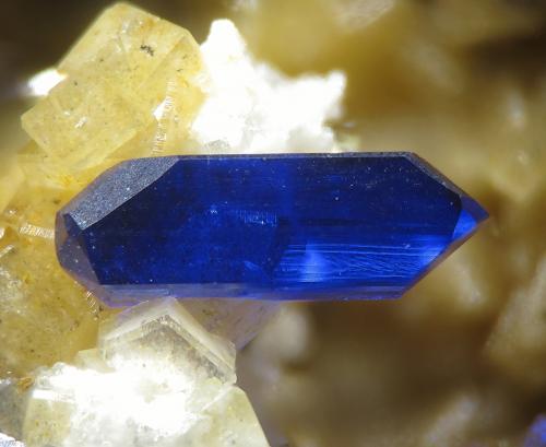 Azurite
Tsumeb Mine, Tsumeb, Otjikoto, Namibia
fov 3 mm (Author: Rewitzer Christian)