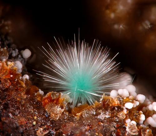 Agardite-(Y)
María Josefa Mine, Rodalquilar, Níjar, Almería, Andalusia, Spain
fov 1.2 mm
mined in 2013 (Author: Rewitzer Christian)