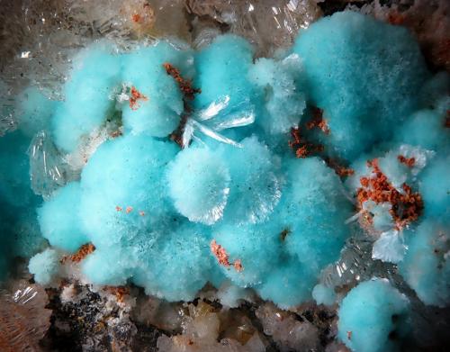 Aurichalcite
Fabiola Mine, Albuñol, Granada, Andalusia, Spain
18 mm
mined in 2009 (Author: Rewitzer Christian)