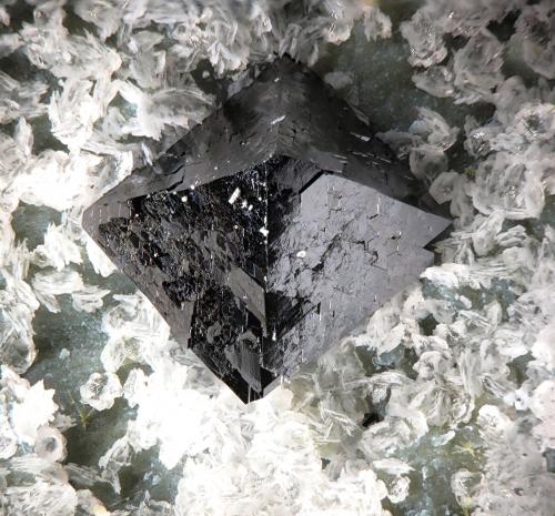 Magnetite
La Gallega Mine, Ojén, Málaga, Andalusia, Spain
fov 1.8 mm
mined in 2013 (Author: Rewitzer Christian)