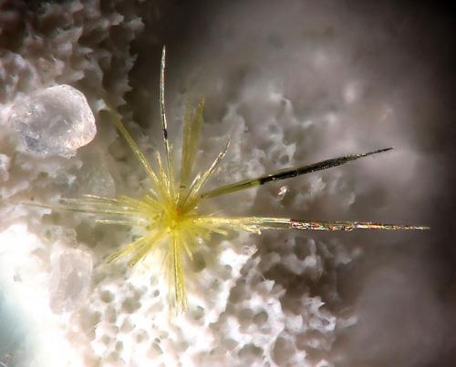 Jamborite/Millerite
La Gallega Mine, Ojén, Málaga, Andalusia, Spain
fov 2 mm
mined in 2013 (Author: Rewitzer Christian)