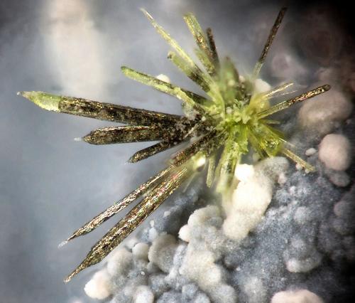 Jamborite/Millerite
La Gallega Mine, Ojén, Málaga, Andalusia, Spain
fov 1.4 mm
mined in 2013 (Author: Rewitzer Christian)