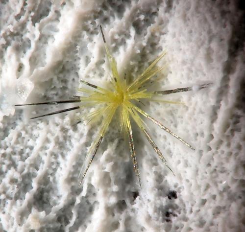 Jamborite/Millerite
La Gallega Mine, Ojén, Málaga, Andalusia, Spain
fov 1.8 mm
mined in 2013 (Author: Rewitzer Christian)