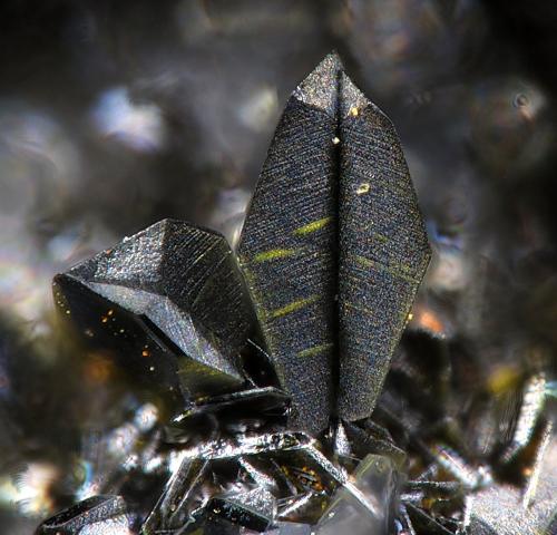 Vauquelinite
Berezovskii, Ekaterinburg, Sverdlovskaya Oblast’, Middle Urals, Urals, Russia
fov 2 mm (Author: Rewitzer Christian)