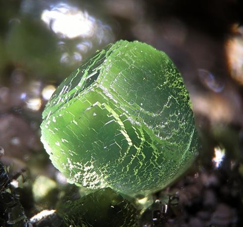 Smithsonite
Tsumeb Mine, Tsumeb, Otjikoto, Namibia
fov 3 mm (Author: Rewitzer Christian)