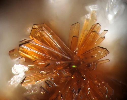 Ruizite
Cornwall Mines, Cornwall Borough, Lebanon Co., Pennsylvania, USA
fov 1 mm (Author: Rewitzer Christian)