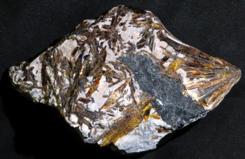 Astrophyllite, Aegirine
Khibiny Massif, Kola Peninsula, Russia
11 x 7 x 4,5 cm (Author: kakov)