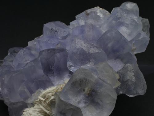 Fluorite, Barite
Jaimina mine,  Carrales, Caravia District, Asturias, Spain
Largest crystal is 4 x 4 cm
Same specimen, new photo - still trying to show the unusual phantoms that form a cross in the center of each crystal (Author: James)