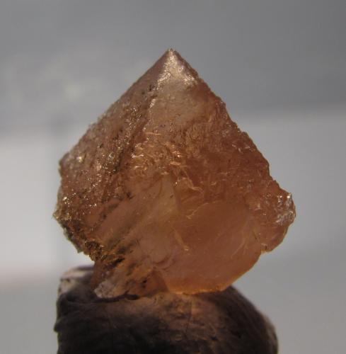 Fluorite
Aiguille du Moine, Mont-Blanc massif, France
10mm across
Same specimen. (Author: Mike Wood)