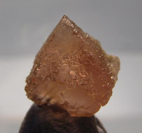 Fluorite
Aiguille du Moine, Mont-Blanc massif, France
10mm across
Same specimen (Author: Mike Wood)