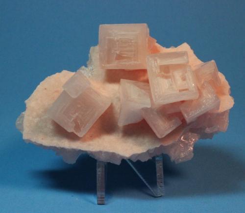 Halite
Searles Lake, Trona, California, USA
8.7 x 5.5 cm (Author: Don Lum)