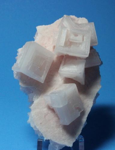 Halite
Searles Lake, Trona, California, USA
8.7 x 5.5 cm (Author: Don Lum)