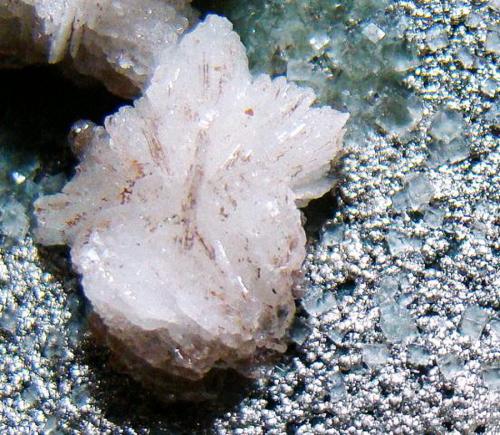Baritina con Fluorita y Pirita
Mina Moscona, Solís, Zona Minera de Villabona, Corvera de Asturias, Asturias, España
14 x 7 x 6 cm.
Detalle de una de las rosetas de Baritina con glóbulos de Pirita y cristales de Fluorita. (Autor: D.N.S.Borràs)