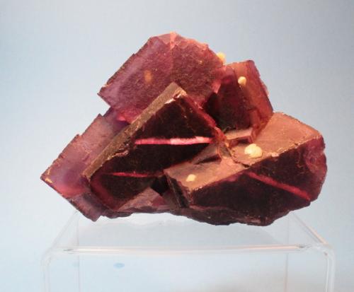 Fluorite
Rosiclare mine, Rosiclare, Rosiclare Sub-district, Illinois, USA
11 x 7.5 cm (Author: Don Lum)