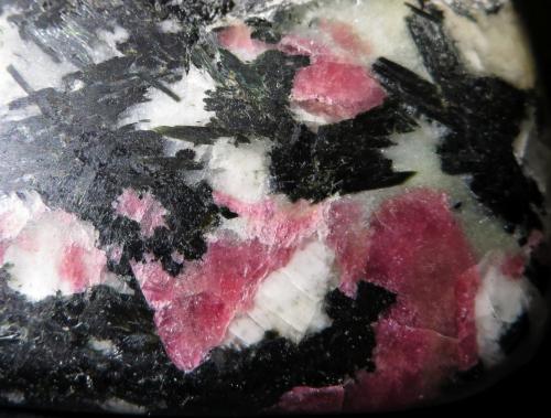 Eudialyte, Aegirine, Nepheline, Feldspar
Ilímaussaq Intrusive Complex, Narsaq, Greenland
FoV: 4 x 3,5 cm
polished
Nepheline is commented on the next pic (Author: kakov)