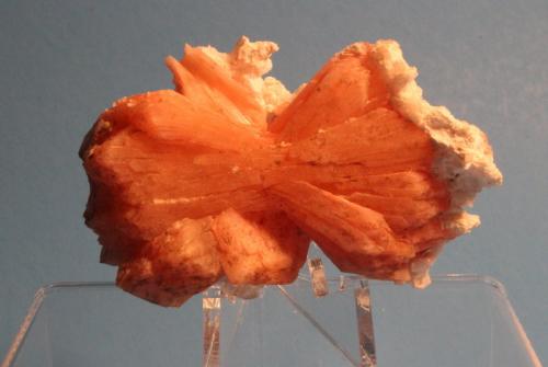 Stilbite, Laumontite
Mahodari Quarry, near Nasik, Maharashtra State, India
7 x 4 cm
Red Bow Tie Stilbite (Author: Don Lum)