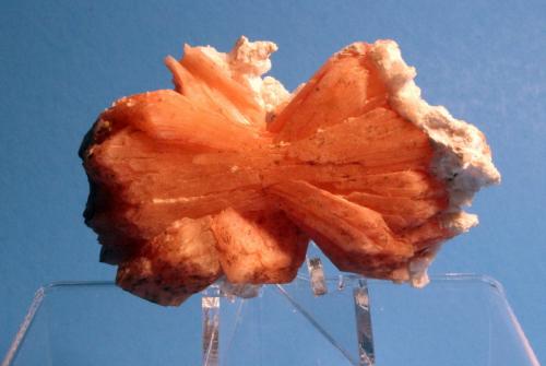 Stilbite, Laumontite
Mahodari Quarry, near Nasik, Maharashtra State, India
7 x 4 cm
Red Full Bow Tie Stilbite (Author: Don Lum)