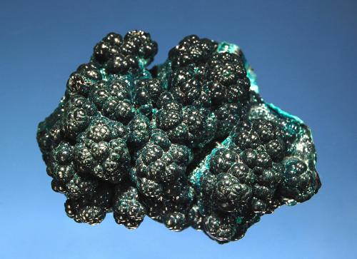 Heterogenite
Star of Congo Mine, Lubumbashi, Katanga Prov., DR Congo
4.0 x 5.5 cm
Dark blue-green botryoidal crusts of heterogenite on chrysocolla.  Acquired from Gilbert Gauthier in 2001. (Author: crosstimber)